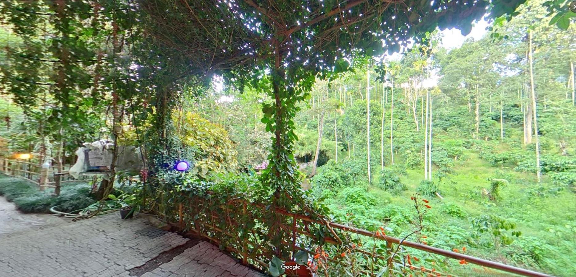 Bed and Breakfast Wayanad Royal Stream Kalpatta Exterior foto