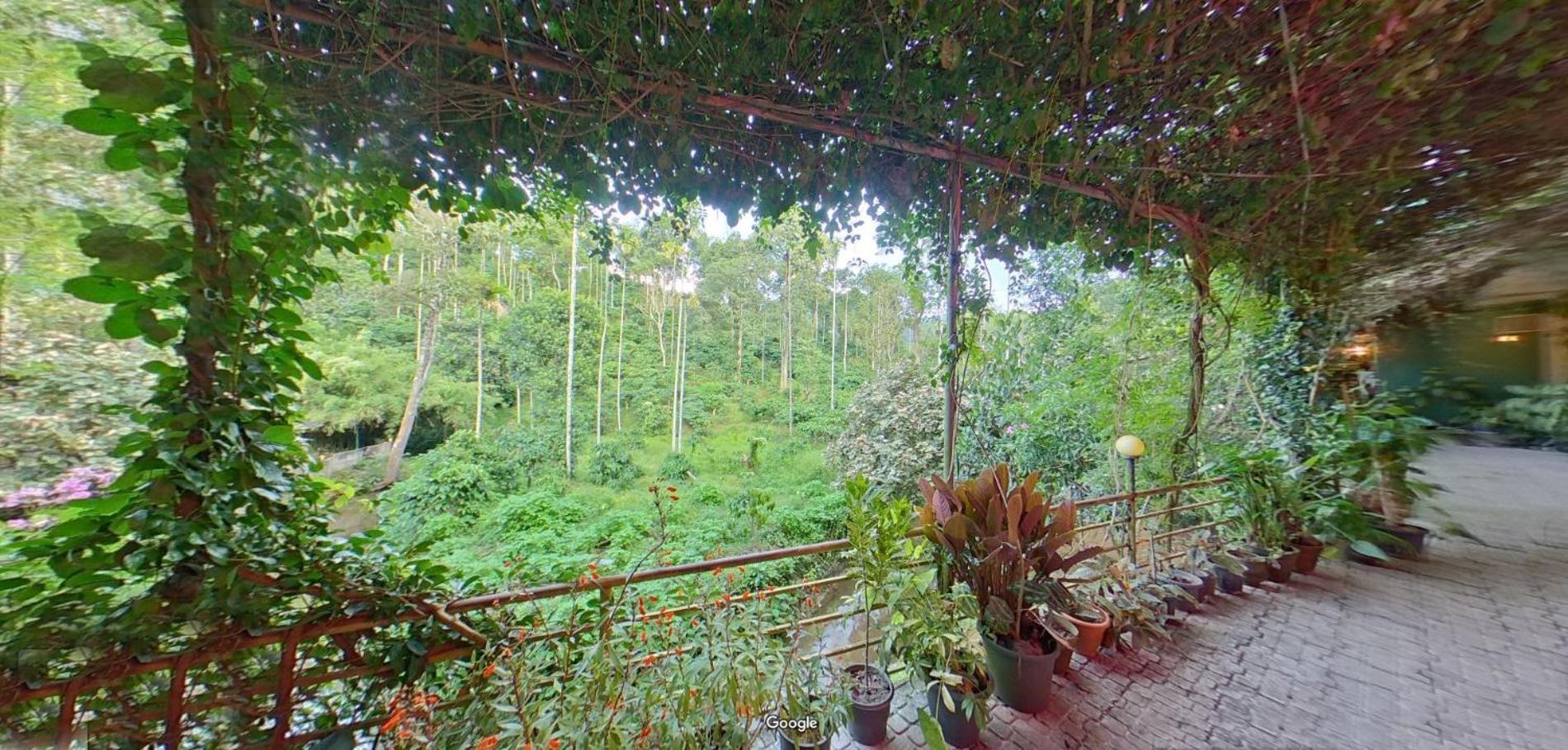 Bed and Breakfast Wayanad Royal Stream Kalpatta Exterior foto