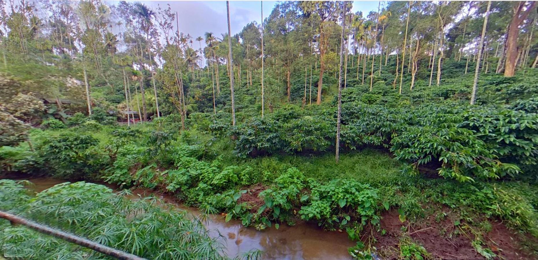 Bed and Breakfast Wayanad Royal Stream Kalpatta Exterior foto