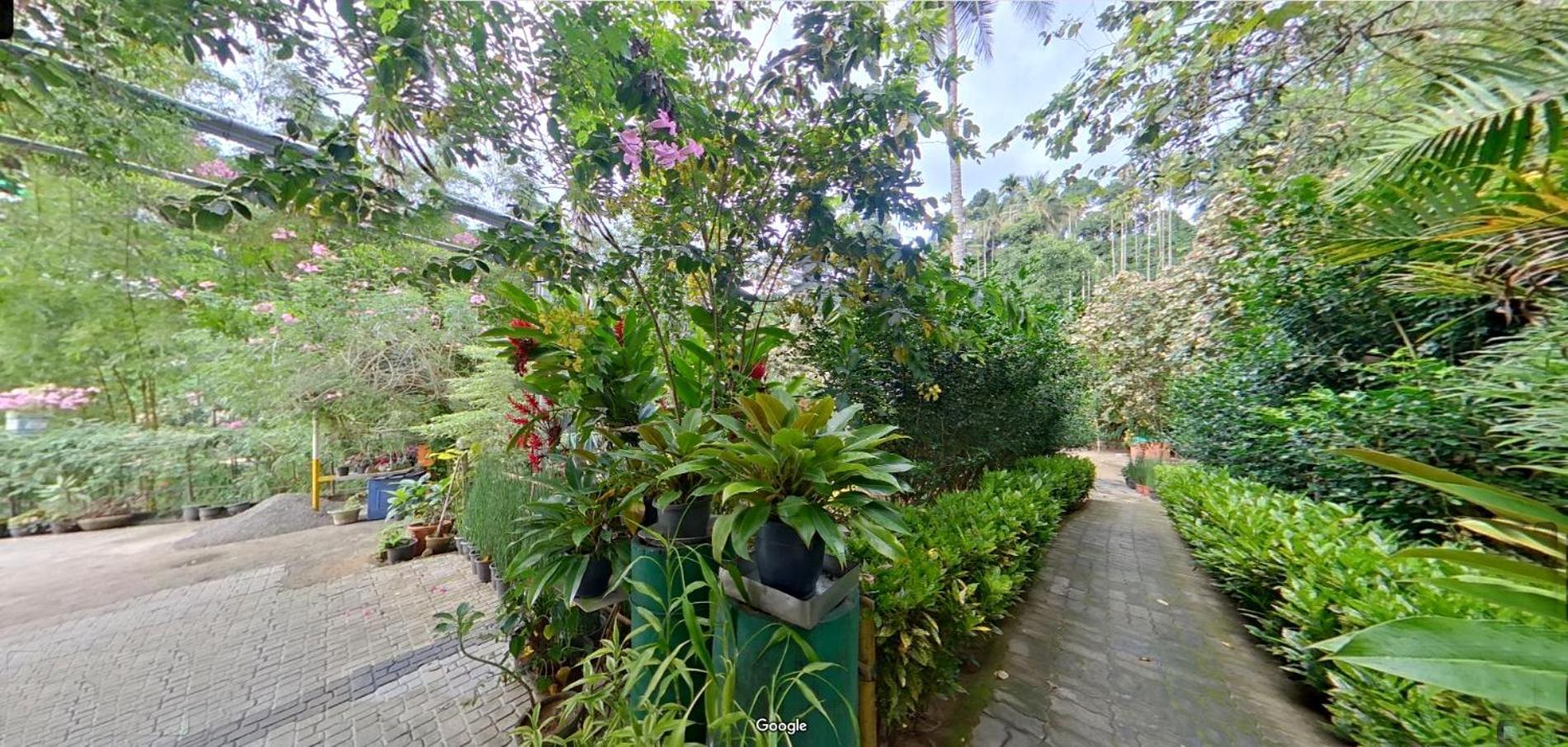 Bed and Breakfast Wayanad Royal Stream Kalpatta Exterior foto