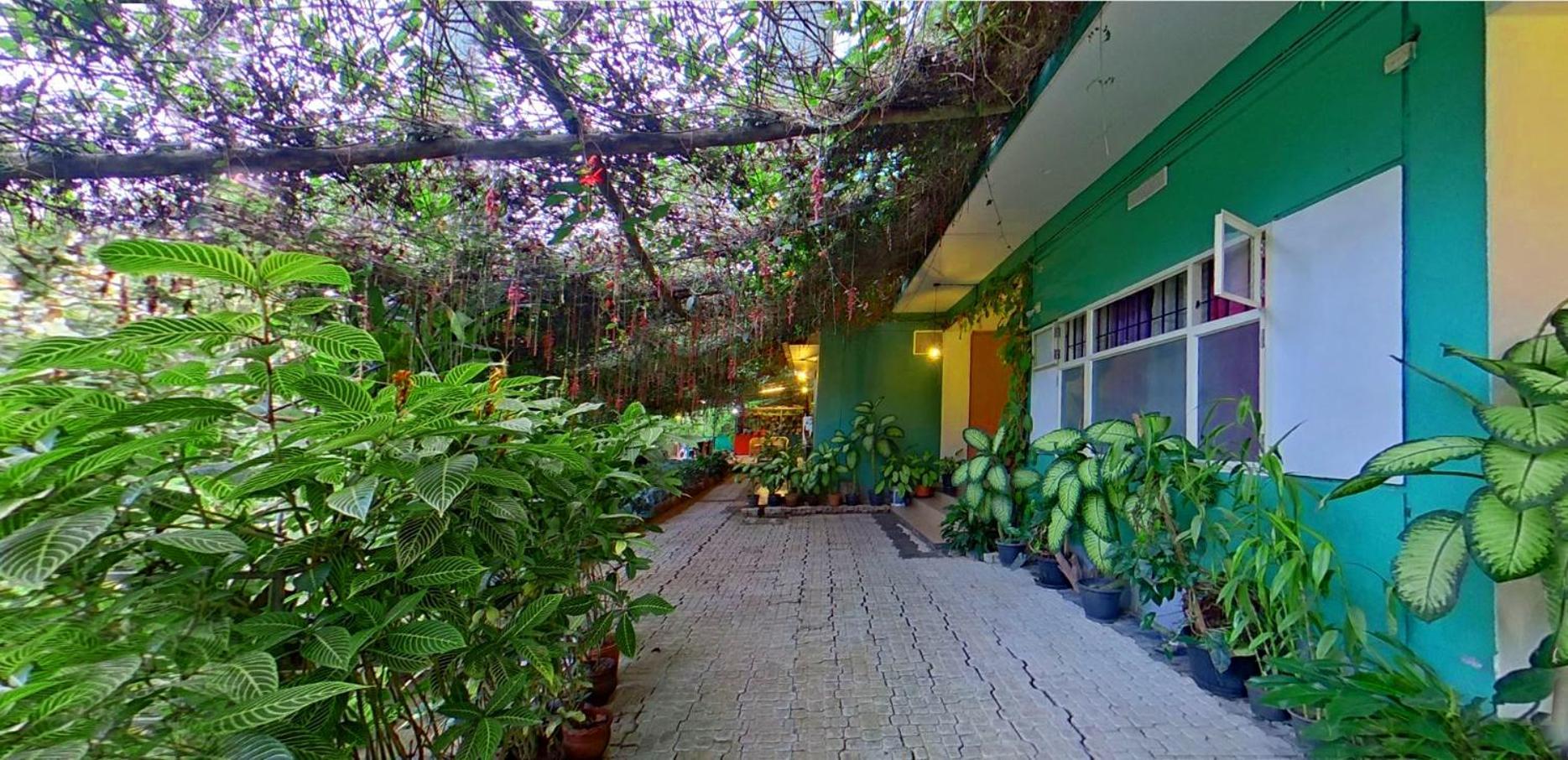 Bed and Breakfast Wayanad Royal Stream Kalpatta Exterior foto