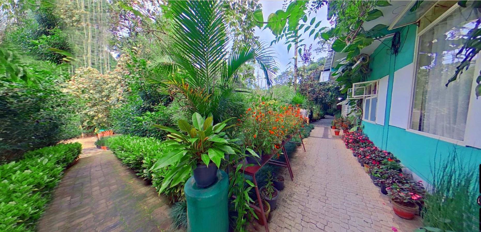 Bed and Breakfast Wayanad Royal Stream Kalpatta Exterior foto